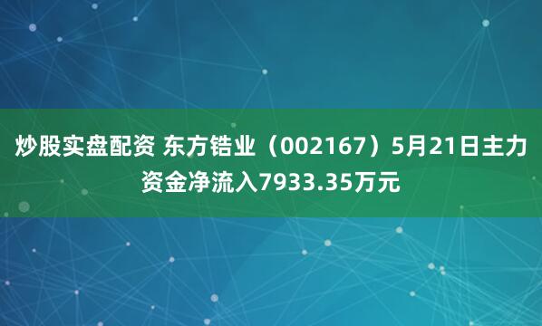 炒股实盘配资 东方锆业（002167）5月21日主力资金净流入7933.35万元
