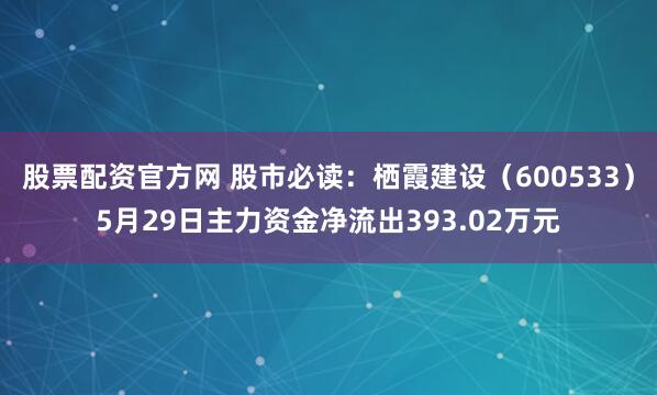 股票配资官方网 股市必读：栖霞建设（600533）5月29日主力资金净流出393.02万元